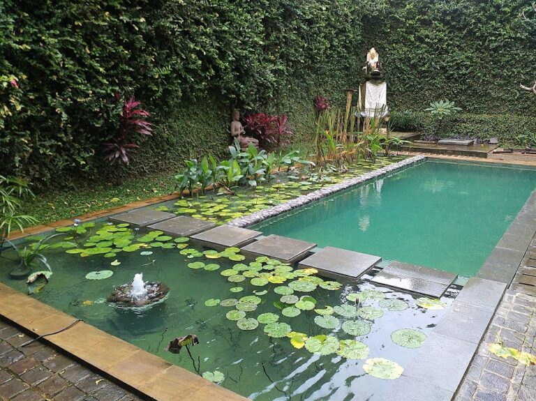 Natural Swimming Pools